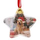 Ornament Brad de Craciun Glob Transparent pentru Poza 9cm