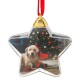 Ornament Brad de Craciun Glob Transparent pentru Poza 9cm