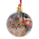 Ornament Brad de Craciun Glob Transparent pentru Poza 9cm