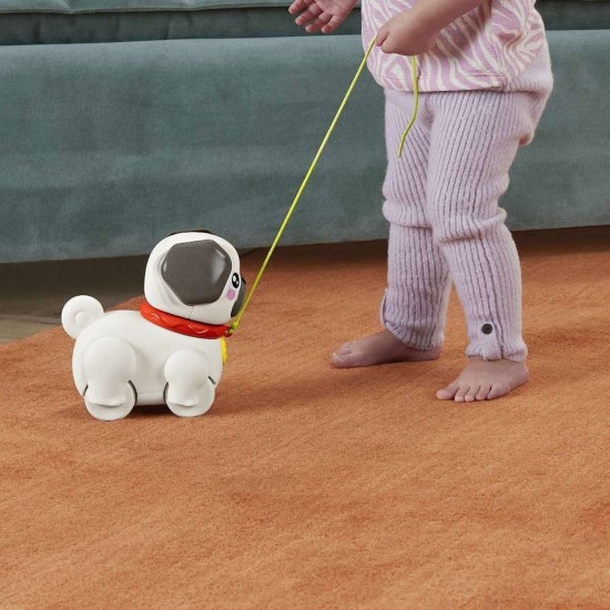 Caine de Plimbat Pug Pet Pals - Fisher Price