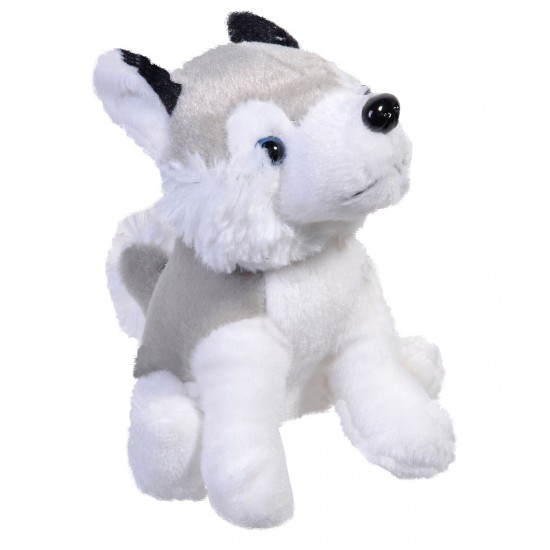 Caine de Plus Husky 13cm