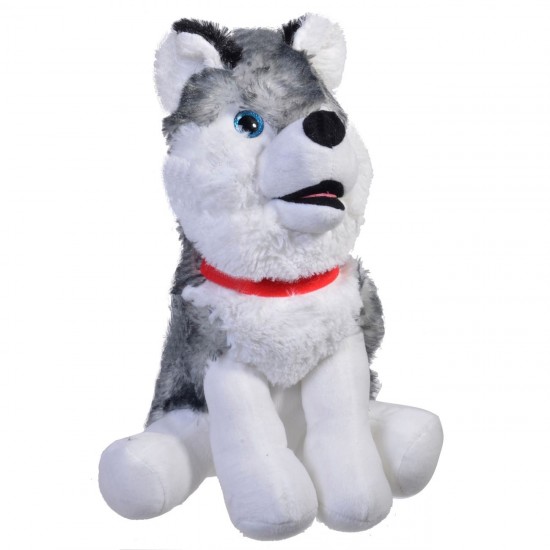 Catel Husky de Plus 30cm