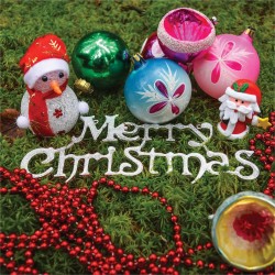 Iarba decorativa pentru Iesle de Craciun 50g