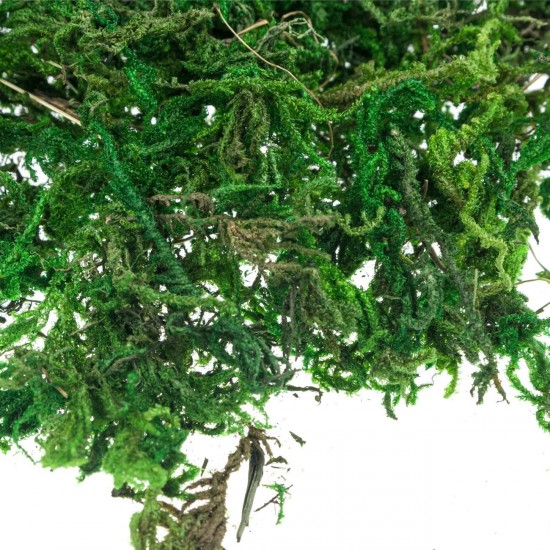 Iarba decorativa pentru Iesle de Craciun 50g