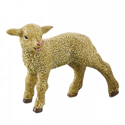 Pui Animale de Ferma