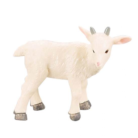 Pui Animale de Ferma