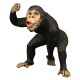 Animalute Realiste Cimpanzeu - Maimuta