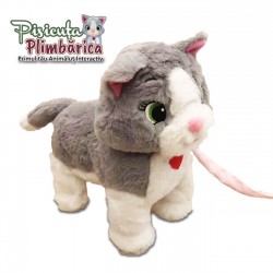 Plimbarica Pisicuta Interactiva - Idea