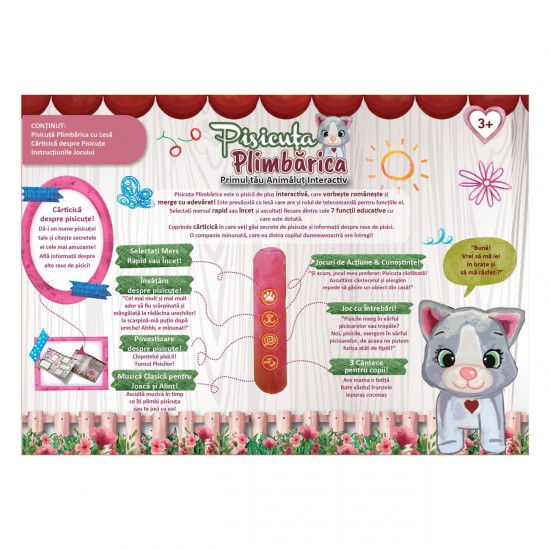 Plimbarica Pisicuta Interactiva - Idea