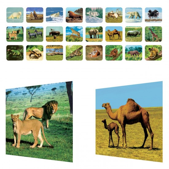 Jucarie Lanterna Proiector Mini Animale din Jungla cu 3 Diapozitive