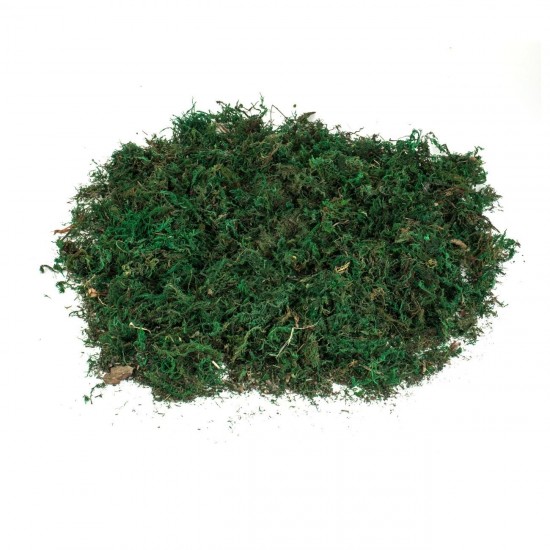 Iraba Decorativa Verde pentru Iesle de Craciun 100g