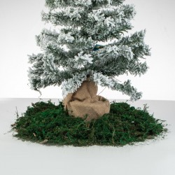 Iraba Decorativa Verde pentru Iesle de Craciun 100g