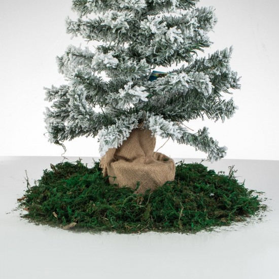 Iraba Decorativa Verde pentru Iesle de Craciun 100g