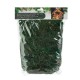 Iraba Decorativa Verde pentru Iesle de Craciun 100g