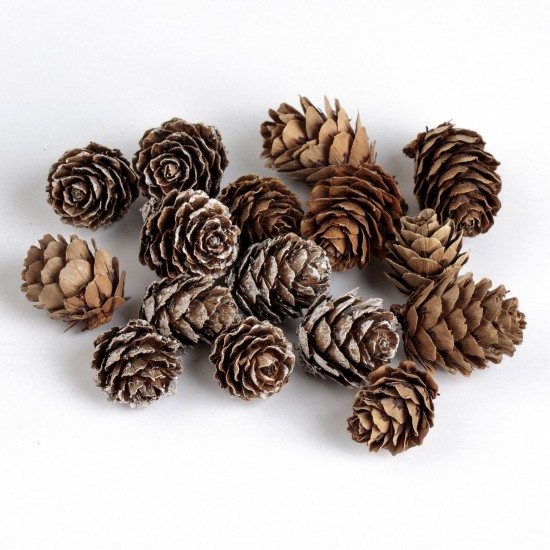 Set Conuri Decorative Ninse de Craciun 2cm - 16buc