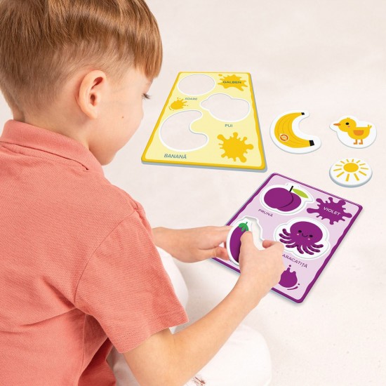 Joc Educativ ”Ce Culoare Este?” Agerino Baby Montessori - AS