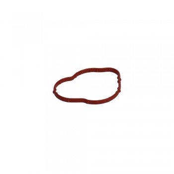 Garnitura Corp Termostat 100109