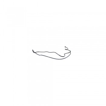 Conducta Carburant 100119