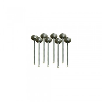 Set Supape Evacuare 30470