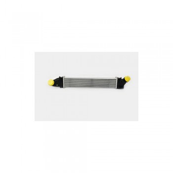 Radiator Intercooler (Scurt) Th.03.025