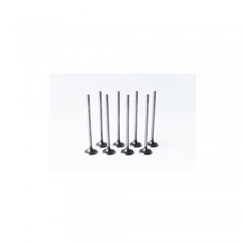 Set Supape Admisie 55828