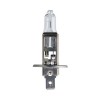 Bec Far H1 55W 12V Longer Life Ecovision Philips