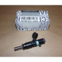 Injector Benzina 166003188R