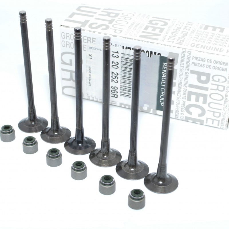 Supapa Evacuare 132025296R